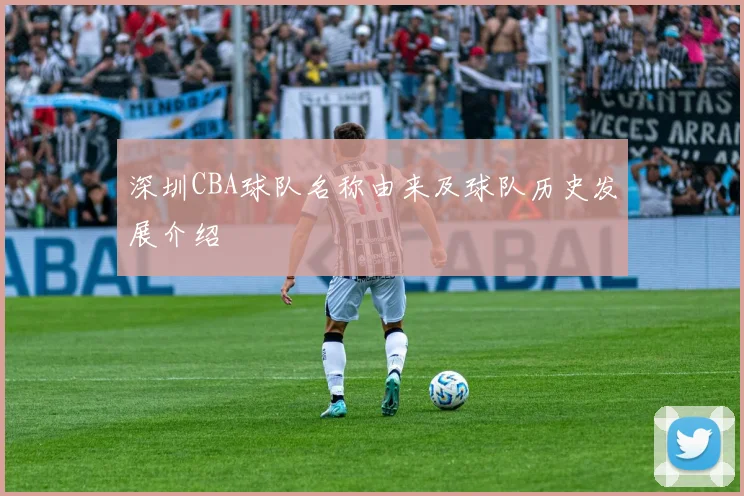 深圳CBA球队名称由来及球队历史发展介绍