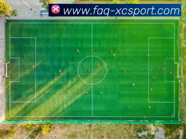 杏彩体育平台生态图