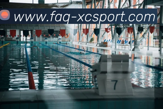 杏彩体育APP 封面图